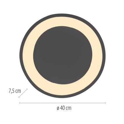 Schöner Wohnen 14233-18 - zatemnljivo LED stropno svetilo MONTA LED/21W/230V premer 40 cm črna