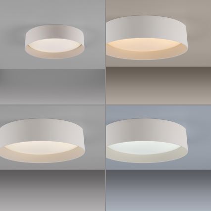 Schöner Wohnen 14593-39 - Zatemnjiva LED stropna svetilka TAVOLI LED/10W/230V 2700-6500K premer 28,5 cm siva + daljinski upravljalnik