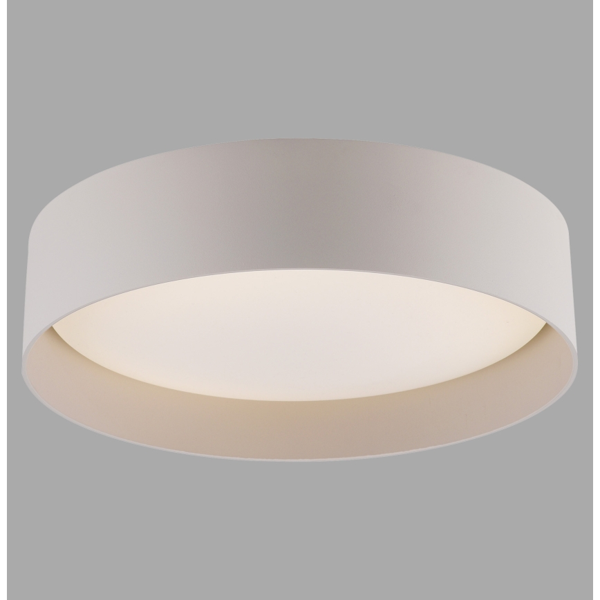 Schöner Wohnen 14593-39 - Zatemnjiva LED stropna svetilka TAVOLI LED/10W/230V 2700-6500K premer 28,5 cm siva + daljinski upravljalnik