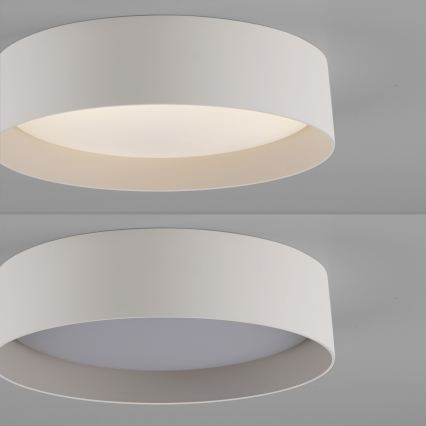 Schöner Wohnen 14593-39 - Zatemnjiva LED stropna svetilka TAVOLI LED/10W/230V 2700-6500K premer 28,5 cm siva + daljinski upravljalnik