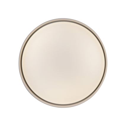 Schöner Wohnen 14593-39 - Zatemnjiva LED stropna svetilka TAVOLI LED/10W/230V 2700-6500K premer 28,5 cm siva + daljinski upravljalnik