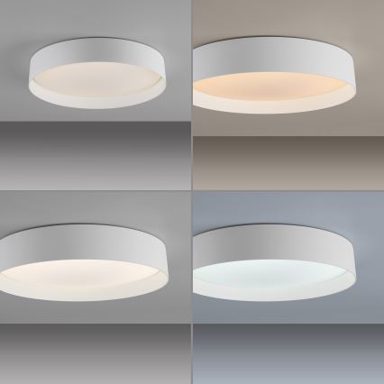 Schöner Wohnen 14594-16 - zatemnljivo LED stropno svetilo TAVOLI LED/20W/230V 2700-6500K premer 39 cm bela + daljinski upravljalnik