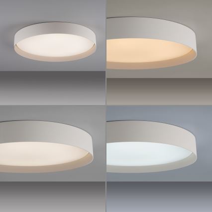 Schöner Wohnen 14595-39 - Zatemnljivo stropno LED svetilo TAVOLI LED/34 W/230 V 2700-6500 K, premer 49 cm, sivo + daljinski upravljalnik