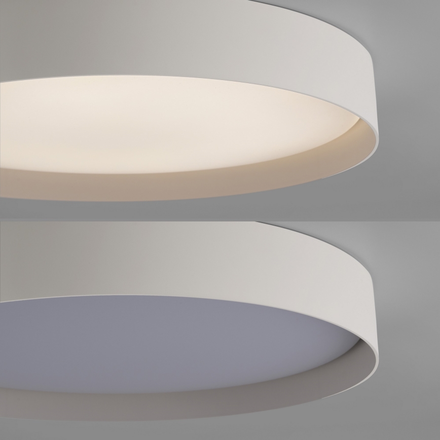 Schöner Wohnen 14595-39 - Zatemnljivo stropno LED svetilo TAVOLI LED/34 W/230 V 2700-6500 K, premer 49 cm, sivo + daljinski upravljalnik