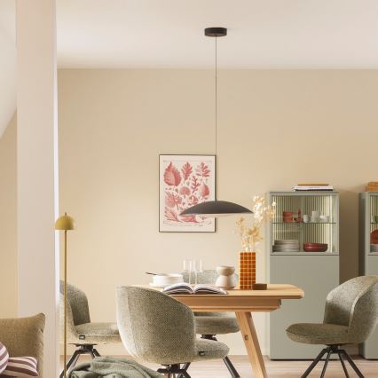 Schöner Wohnen 14606-18 - Zatemnjiva LED viseča svetilka na kablu LENTE LED/17W/230V, premer 40 cm, črna