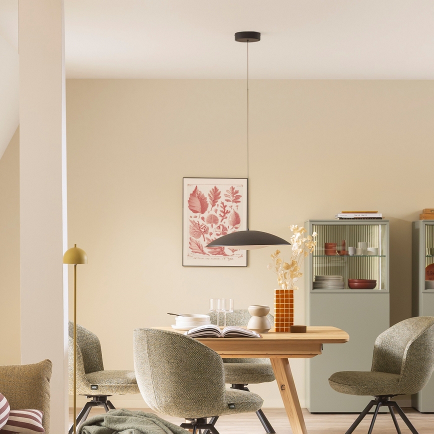 Schöner Wohnen 14606-18 - Zatemnjiva LED viseča svetilka na kablu LENTE LED/17W/230V, premer 40 cm, črna