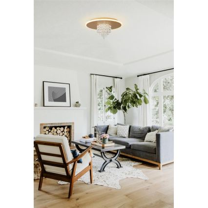 Searchlight - LED zatemnjevalno stropno svetilo DELUGE LED/20W/230V premer 31,5 cm zlato