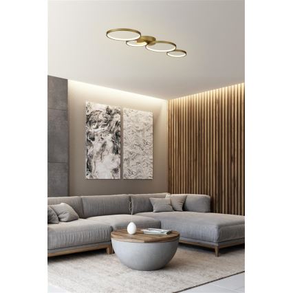 Searchlight - Nastavljiva LED stropna svetilka CIRQUE LED/37W/230V 3000K 33x97 cm
