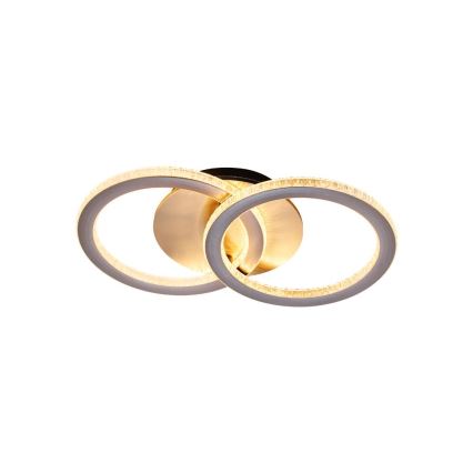 Searchlight - Zatemnljivo LED stropno svetilo SPECS LED/24W/230V 3000K 25x42,5 cm