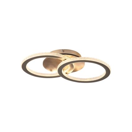 Searchlight - Zatemnljivo LED stropno svetilo SPECS LED/24W/230V 3000K 25x42,5 cm