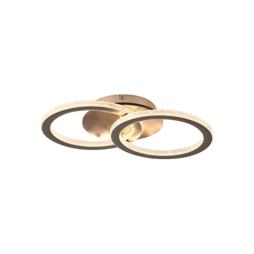 Searchlight - Zatemnljivo LED stropno svetilo SPECS LED/24W/230V 3000K 25x42,5 cm