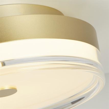 Searchlight - LED stropna svetilka CYPRUS LED/21W/230V Ø 30 cm zlata