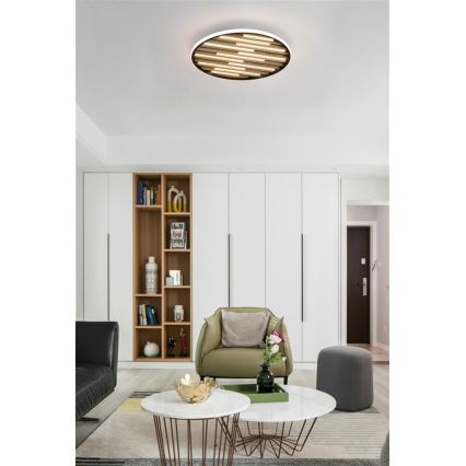 Searchlight - Zatemnljivo LED stropno svetilo EQUALISE LED/33W/230V