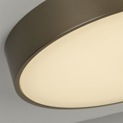 Searchlight - LED stropna svetilka PALMA LED/12W/230V 3000K premer 25 cm bronasta