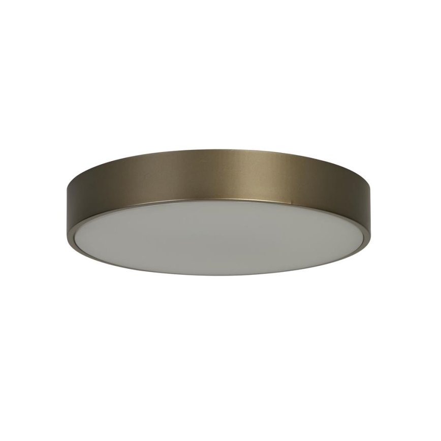 Searchlight - LED stropna svetilka PALMA LED/12W/230V 3000K premer 25 cm bronasta