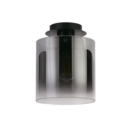 Searchlight - Stropna svetilka SWEDEN 1xE27/60W/230V premer 22 cm črna/zadimljena