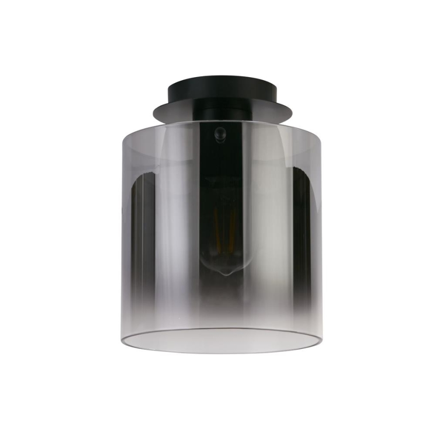 Searchlight - Stropna svetilka SWEDEN 1xE27/60W/230V premer 22 cm črna/zadimljena