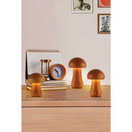 Searchlight - Komplet 3x LED namizna svetilka MUSHROOM LED/1,1W/5V 800 mAh