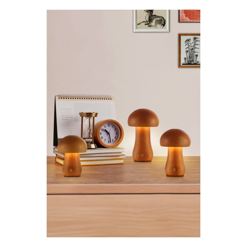 Searchlight - Komplet 3x LED namizna svetilka MUSHROOM LED/1,1W/5V 800 mAh