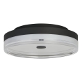 Searchlight - LED stropna svetilka CYPRUS LED/21W/230V, premer 30 cm, črna