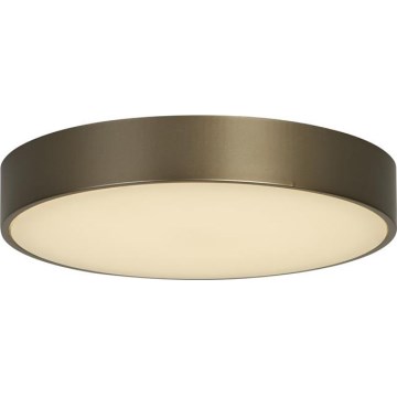 Searchlight - LED stropna svetilka PALMA LED/12W/230V 3000K premer 25 cm bronasta