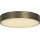 Searchlight - LED stropna svetilka PALMA LED/12W/230V 3000K premer 25 cm bronasta