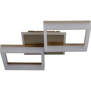 Searchlight - LED zatemnljivo stropno svetilo FENCE LED/25W/230V