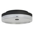 Searchlight - stropna LED svetilka CYPRUS LED/29W/230V, premer 40 cm, črna