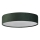 Searchlight - Stropna svetilka DRUM 3xE27/60W/230V zelena