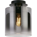 Searchlight - Stropna svetilka SWEDEN 1xE27/60W/230V premer 22 cm črna/zadimljena