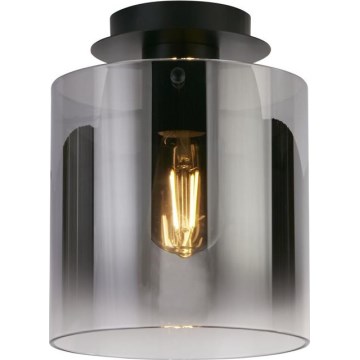 Searchlight - Stropna svetilka SWEDEN 1xE27/60W/230V premer 22 cm črna/zadimljena