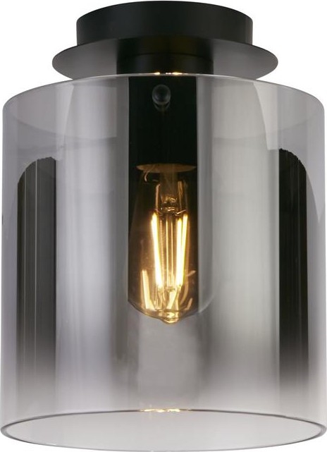 Searchlight - Stropna svetilka SWEDEN 1xE27/60W/230V premer 22 cm črna/zadimljena