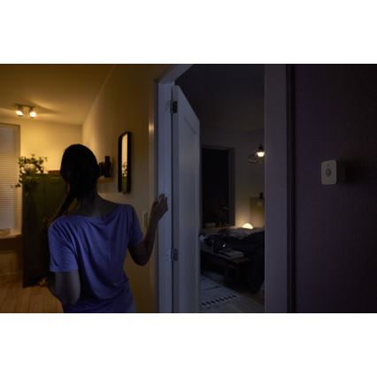 Senzor gibanja Philips Hue 2xAAA IP42