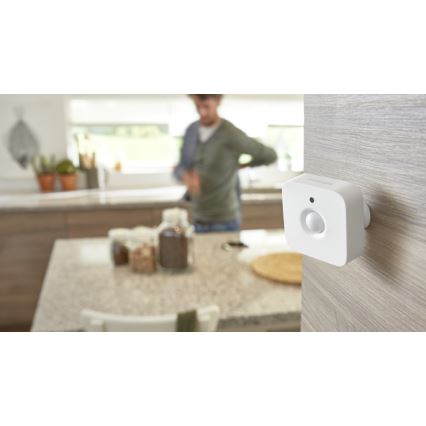 Senzor gibanja Philips Hue 2xAAA IP42