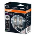 SET 2x LED Avto žarnica EASY GEN H7 PX26d/16W/12V 6500K - Osram