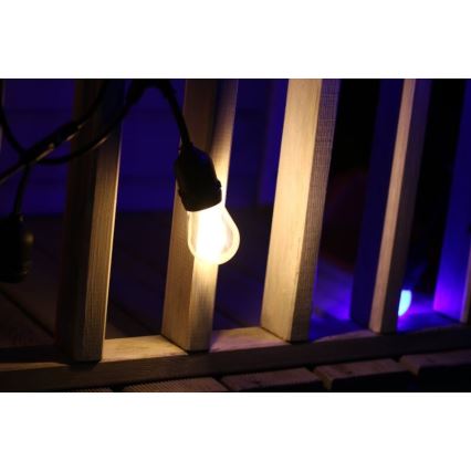 SET 2x LED Žarnica PARTY E27/0,5W/36V 2200K