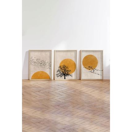 Set 3 kosov: slika v okvirju 50x70 cm, bežna/oranžna