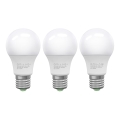 SET 3x LED Žarnica ECOLINE A60 E27/10W/230V 6500K - Brilagi