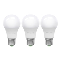 SET 3x LED Žarnica ECOLINE A60 E27/15W/230V 6500K - Brilagi
