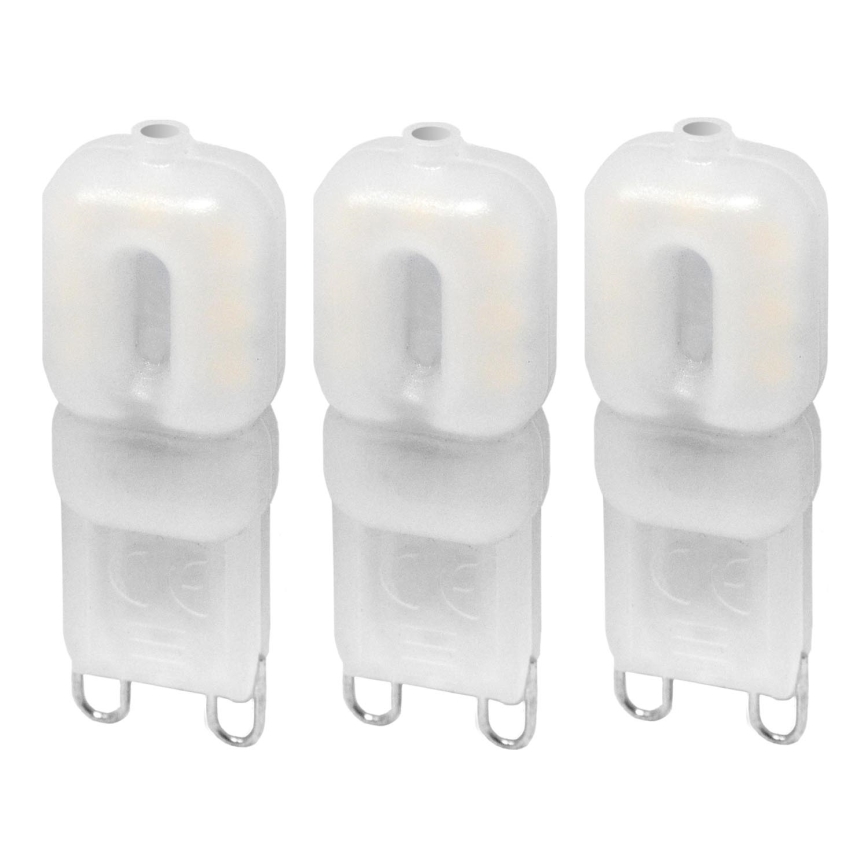 SET 3x LED Žarnica ECOLINE G9/2,5W/230V 3000K - Brilagi