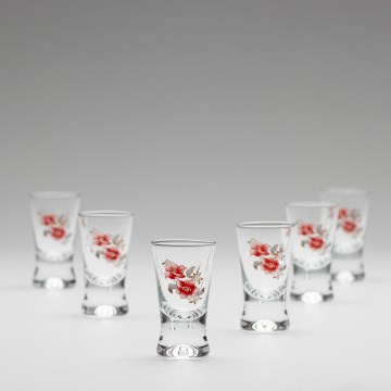 Set 6x Majhni kozarci prozorna z motivom šopka št 2