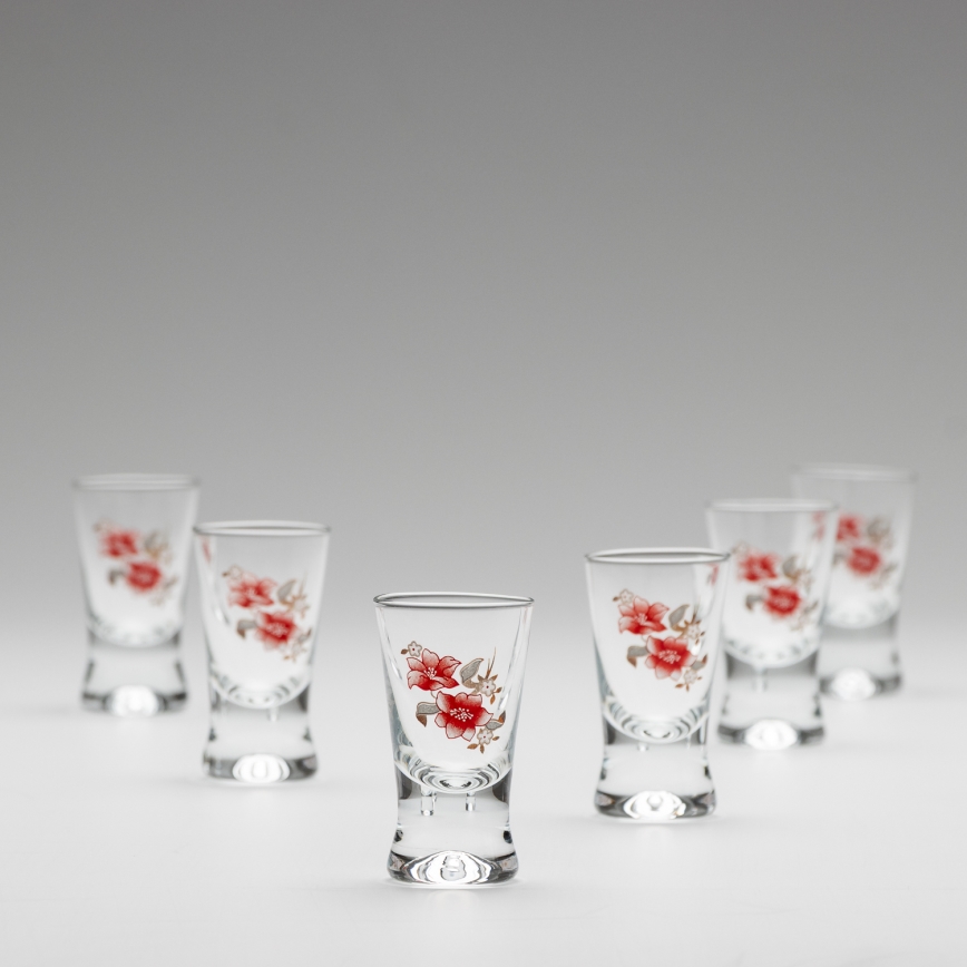 Set 6x Majhni kozarci prozorna z motivom šopka št 2