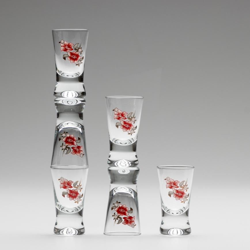 Set 6x Majhni kozarci prozorna z motivom šopka št 2