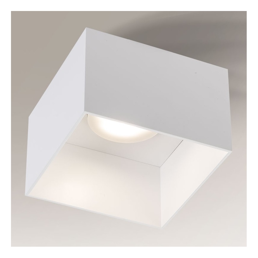 Shilo - Stropna svetilka 1xGX53/15W/230V bela
