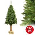 Smrekova božična jelka, 220 cm, z debelom
