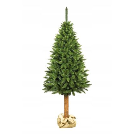 Smrekova božična jelka, 220 cm, z debelom