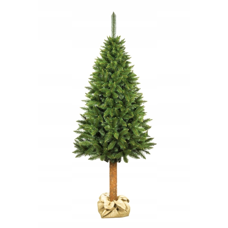 Smrekova božična jelka, 220 cm, z debelom