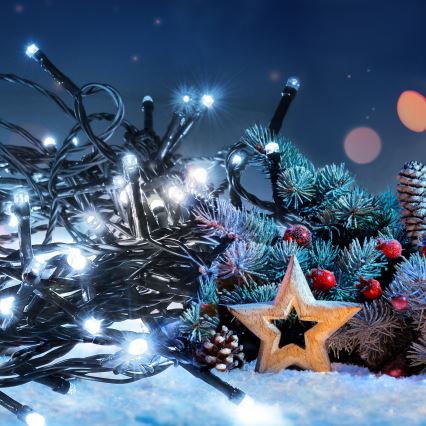 LED Zunanja  veriga 200xLED/8 funkcij 15m IP44 hladna bela