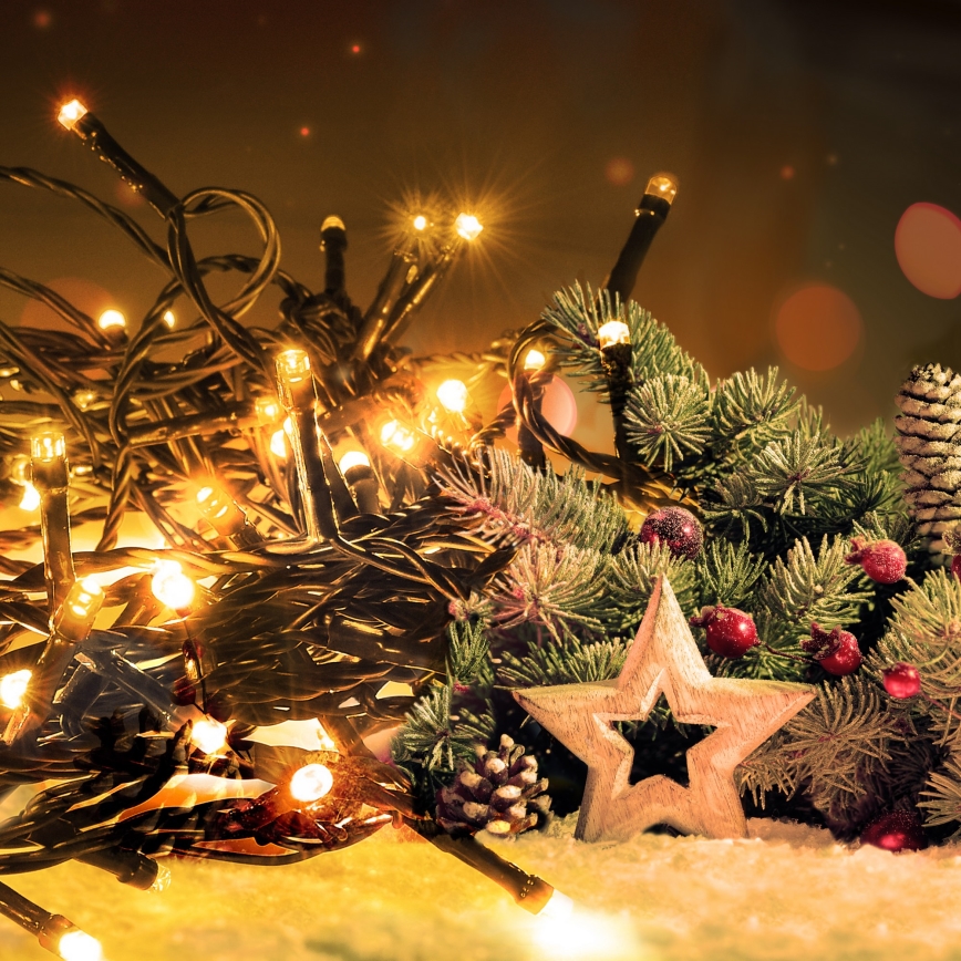 LED zunanji niz, 50 x LED, 8 funkcij, 8 m, IP44, topla bela