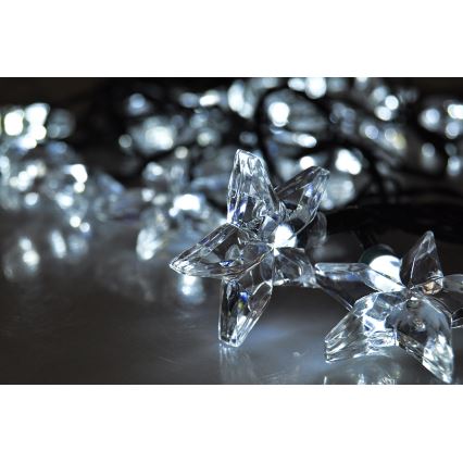 LED Božična veriga 3m 20xLED/230V